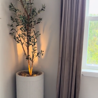 KIT DE HOLOFOTES SEM FIO - SpotLight